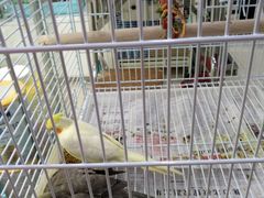 -乐宠宠物店(世纪金源店)