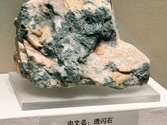 -天津自然博物馆