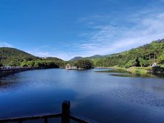 -庐山风景区花径公园