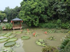 -广州莲花山旅游区