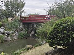 -羊山湖公园