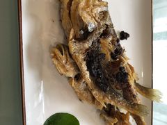 豉椒小黄鱼-老正兴菜馆(福州路店)