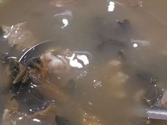 -瑞记湛江鸡饭店·粤西第一鸡(粤垦店)