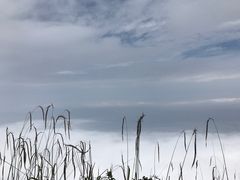 -峨嵋山金顶