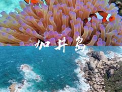 -海棠湾