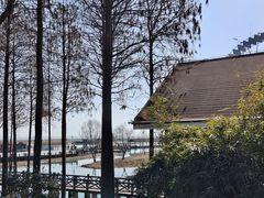 -苏州太湖湖滨国家湿地公园