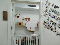 -伟伟宠物医院·瑞派猫友好医院·猫科(光谷店)