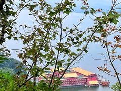 -千岛湖天屿景区