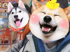 -汤姆熊欢乐世界(罗斯福店)