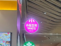 -小杨生煎(深圳岗厦北店)