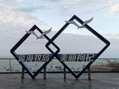 -枸杞岛