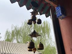 -莲池书院博物馆