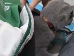 -艾贝尔宠物医院·24H转诊中心·肿瘤猫专科(江宁双龙店)