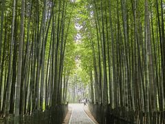 -树山生态村