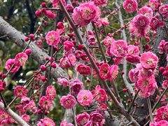 -敬亭山风景名胜区