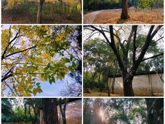 -南阳卧龙岗武侯祠