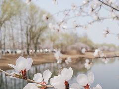 -南海子公园