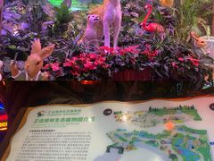 -正佳雨林生态植物园