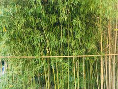-北京瑜舍