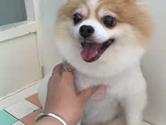 -瑞鹏·疫苗·绝育·宠物医院(金沙洲店)