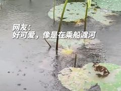 -达美乐比萨(红山店)