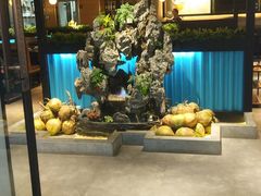 -东椰·海南椰子鸡火锅(朝阳门店)