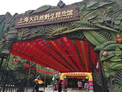 -上海大自然野生昆虫馆(东方明珠·爬宠昆虫探索中心)