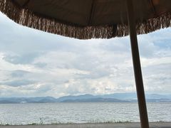 -野菌皇海景野生菌火锅(滨海大道店)