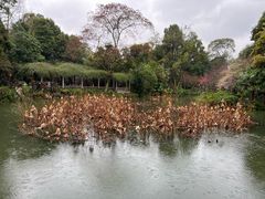 -成都杜甫草堂博物馆