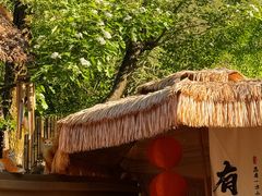 -麦积山温泉