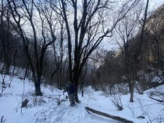 -秦岭风景区