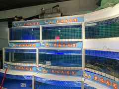 -黄记大闸蟹专卖店·活蟹·醉蟹