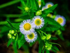 -乌龙涧铁道铁轨景