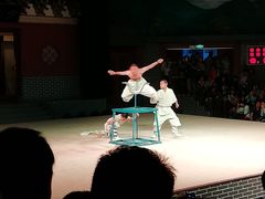 -嵩山少林文化旅游景区