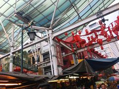 -罗汉果龙眼冰糖燉冬瓜