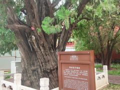 -北京市劳动人民文化宫(太庙)