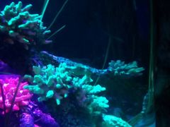 -沈阳海洋探索中心