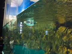 -成都浩海立方海洋公园