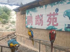 -新疆天山野生动物园