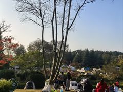 -铁山坪森林公园