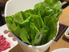 -掂档潮汕牛肉火锅(沈阳万象城店)
