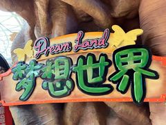 -东方山水乐园山之王国(全室内)
