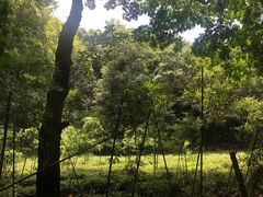 -杭州黄龙洞