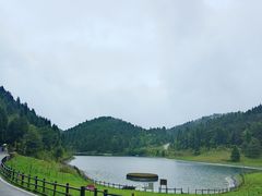 -武陵山森林公园