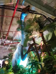 -恐龙探索乐园(磁器口店)