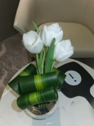 -明潪Selfology升维护理中心