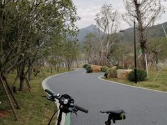 -光明港公园