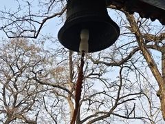 -护国法轮寺