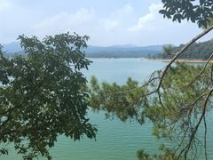 -广州市流溪河国家森林公园