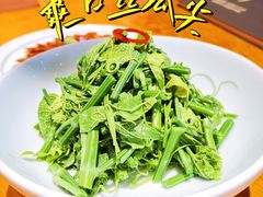 爽口丝瓜尖-丹江渔村(望京店)